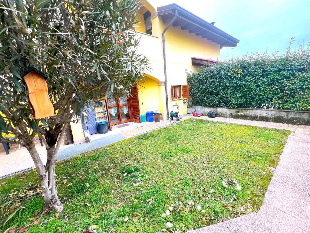 immagine annuncio 1 di 15