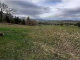 Terreno agricolo all'asta a falerone località falerone