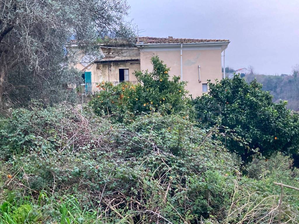 immagine annuncio 1 di 2
