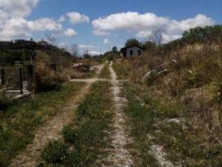 Terreno agricolo all'asta a montefiore dell'aso 63062 san giovanni ap, italia