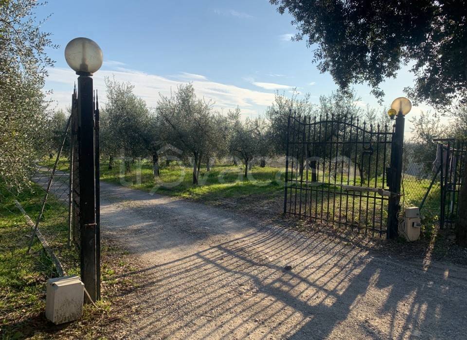 immagine annuncio 5 di 14