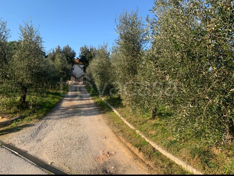 immagine annuncio 6 di 14