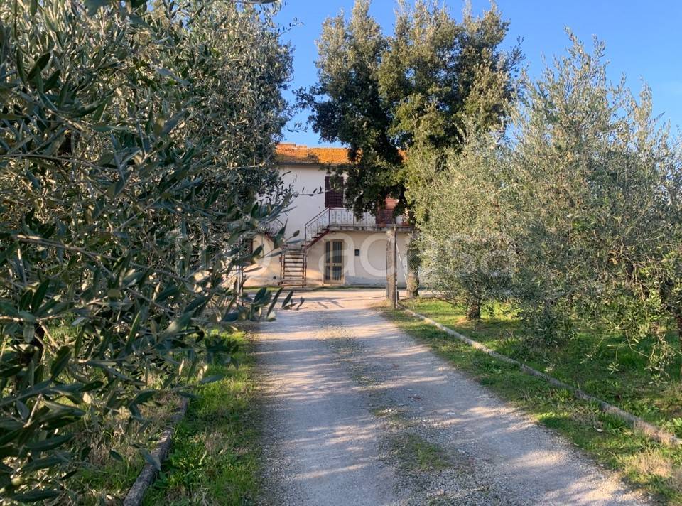 immagine annuncio 7 di 14
