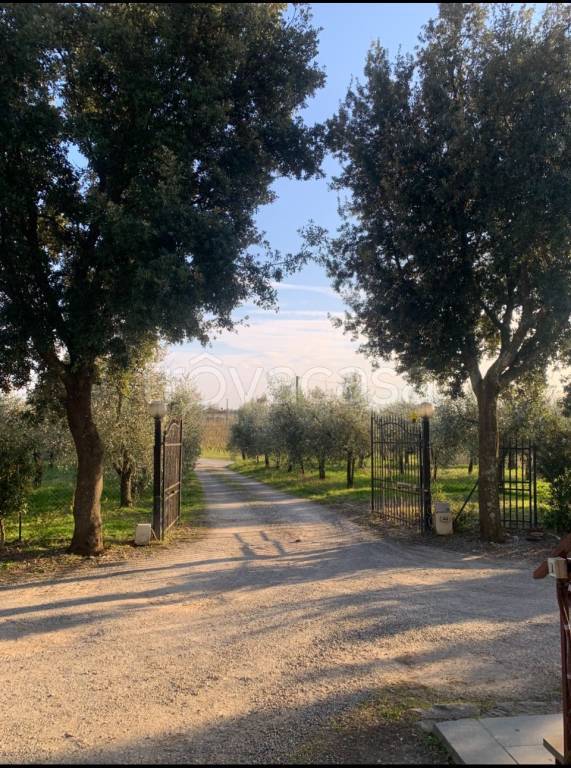 immagine annuncio 9 di 14