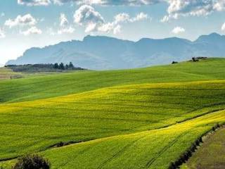 Terreno agricolo in vendita a pederobba 