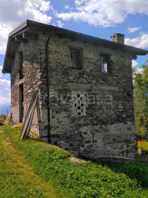 immagine annuncio 4 di 6