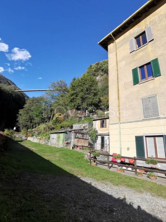 immagine annuncio 1 di 14