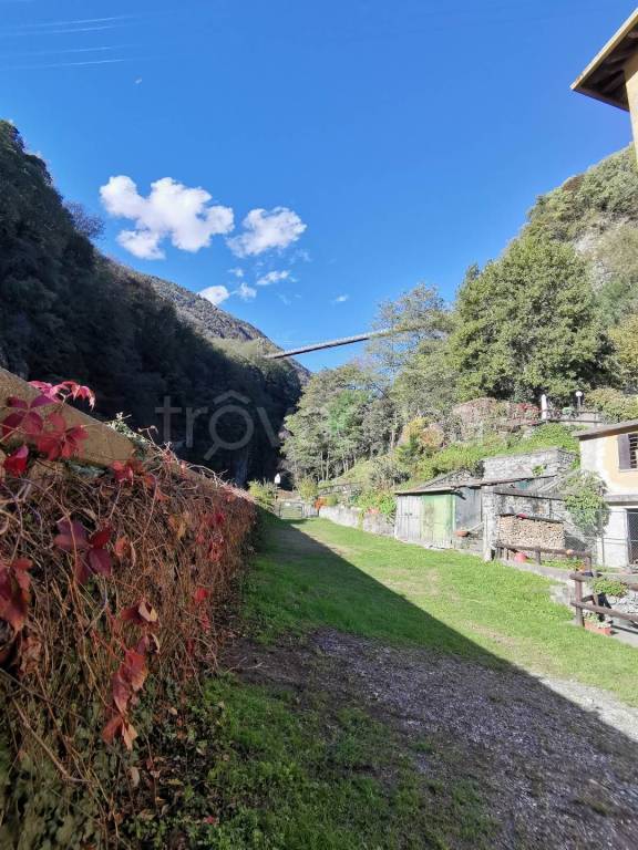 immagine annuncio 2 di 14