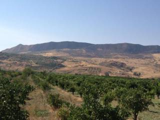 Terreno agricolo all'asta a troina contrada cugno