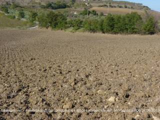 Terreno agricolo all'asta a enna contrada bubudello, snc