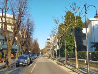 Negozio in affitto a francavilla al mare viale nettuno, 114