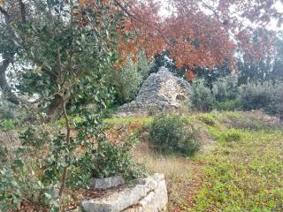 Villa in vendita a cisternino contrada pozzo la lama