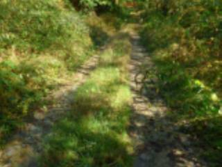 Terreno agricolo all'asta a lusernetta strada traversero