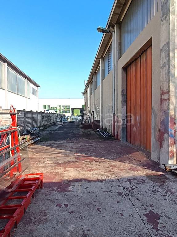 immagine annuncio 8 di 15