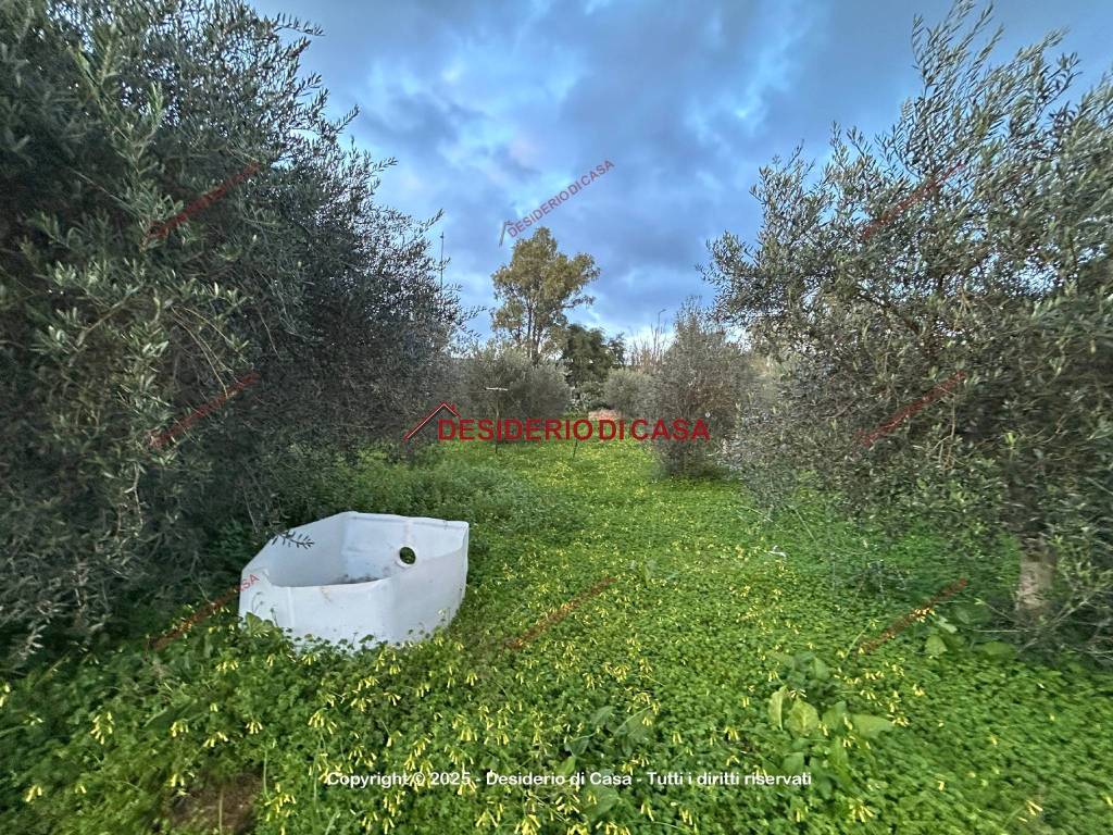 immagine annuncio 4 di 11