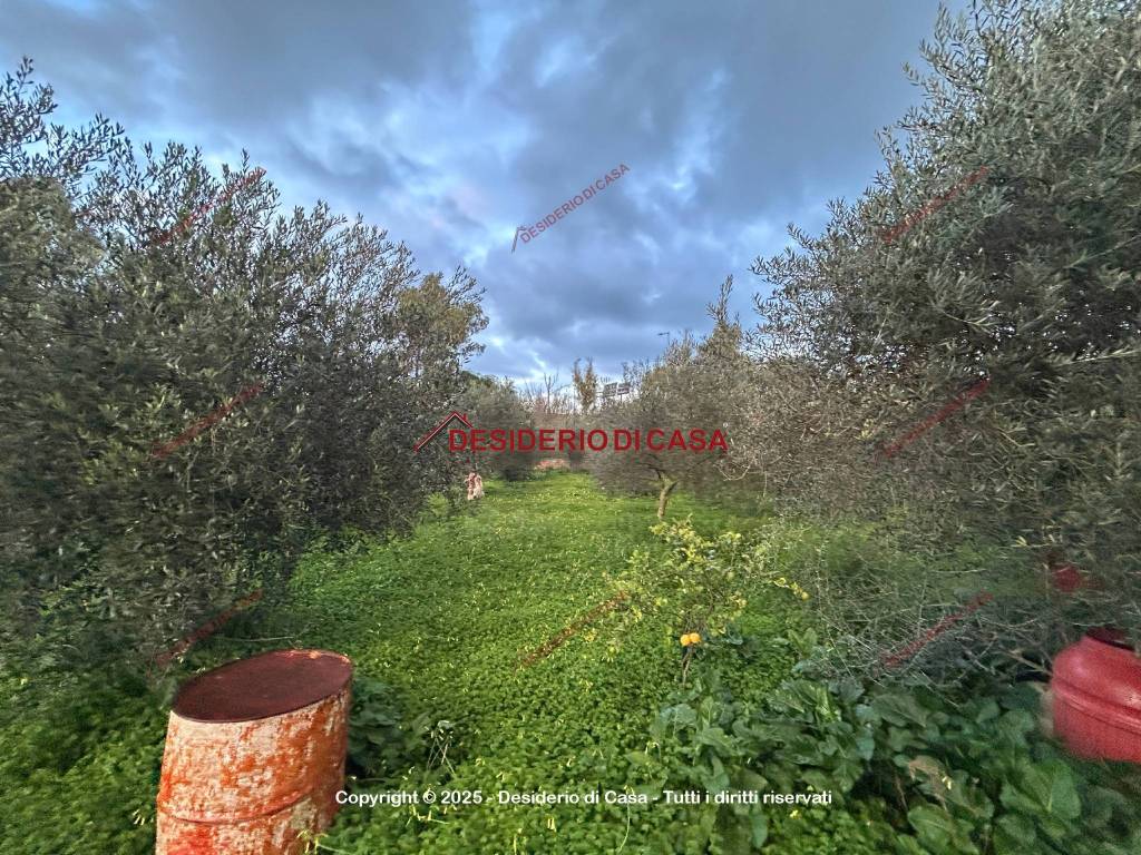 immagine annuncio 5 di 11