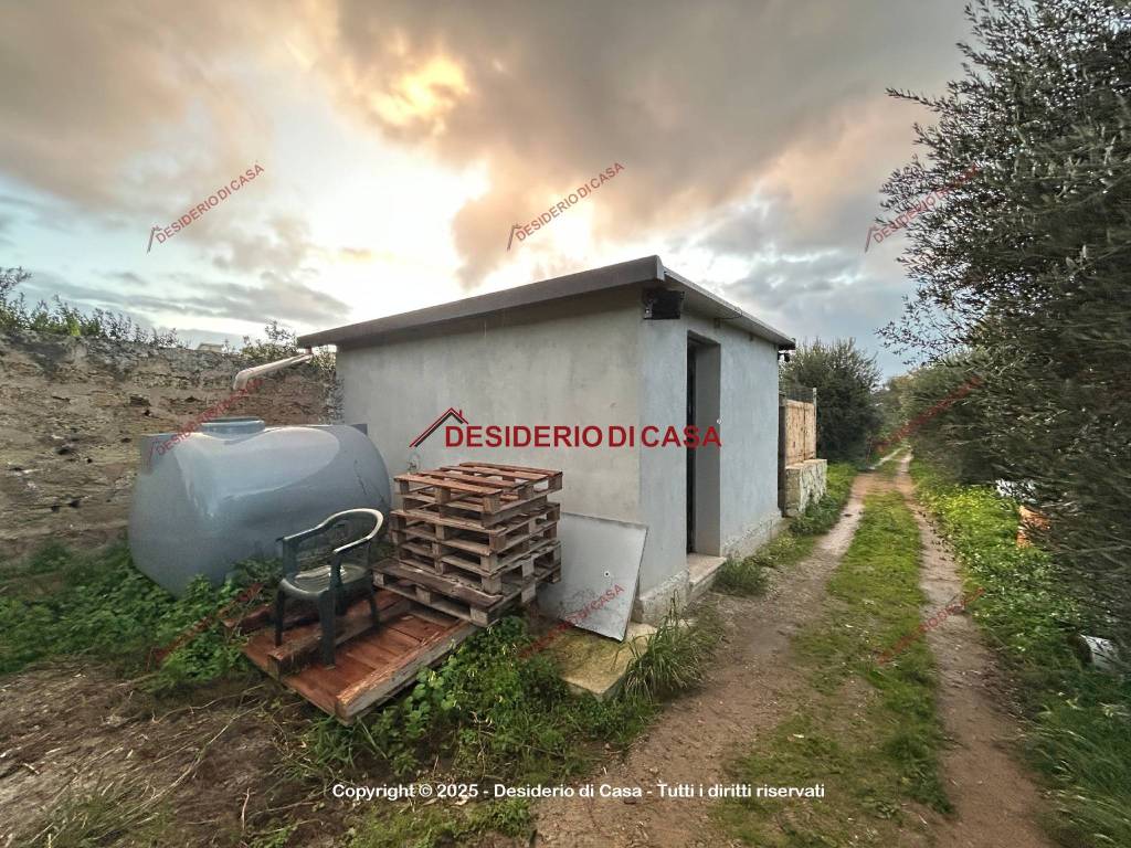 immagine annuncio 7 di 11