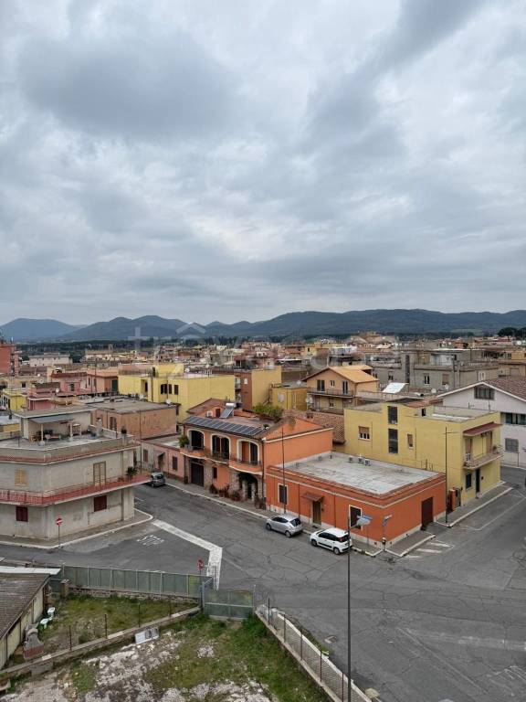 immagine annuncio 6 di 12