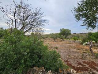 Terreno residenziale in vendita a carovigno 