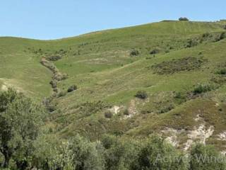 Terreno agricolo all'asta ad ascoli piceno frazione campolungo