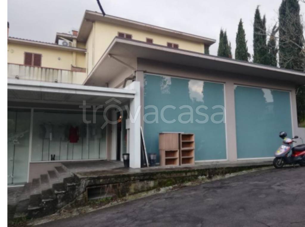immagine annuncio 7 di 12
