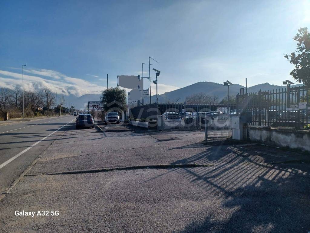 immagine annuncio 2 di 9