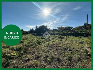 Terreno agricolo in vendita a bagheria strada vicinale primo marino