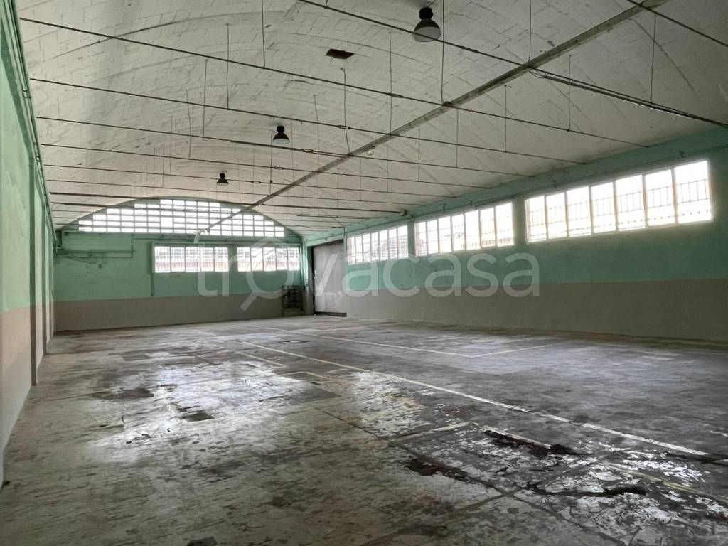 immagine annuncio 1 di 13