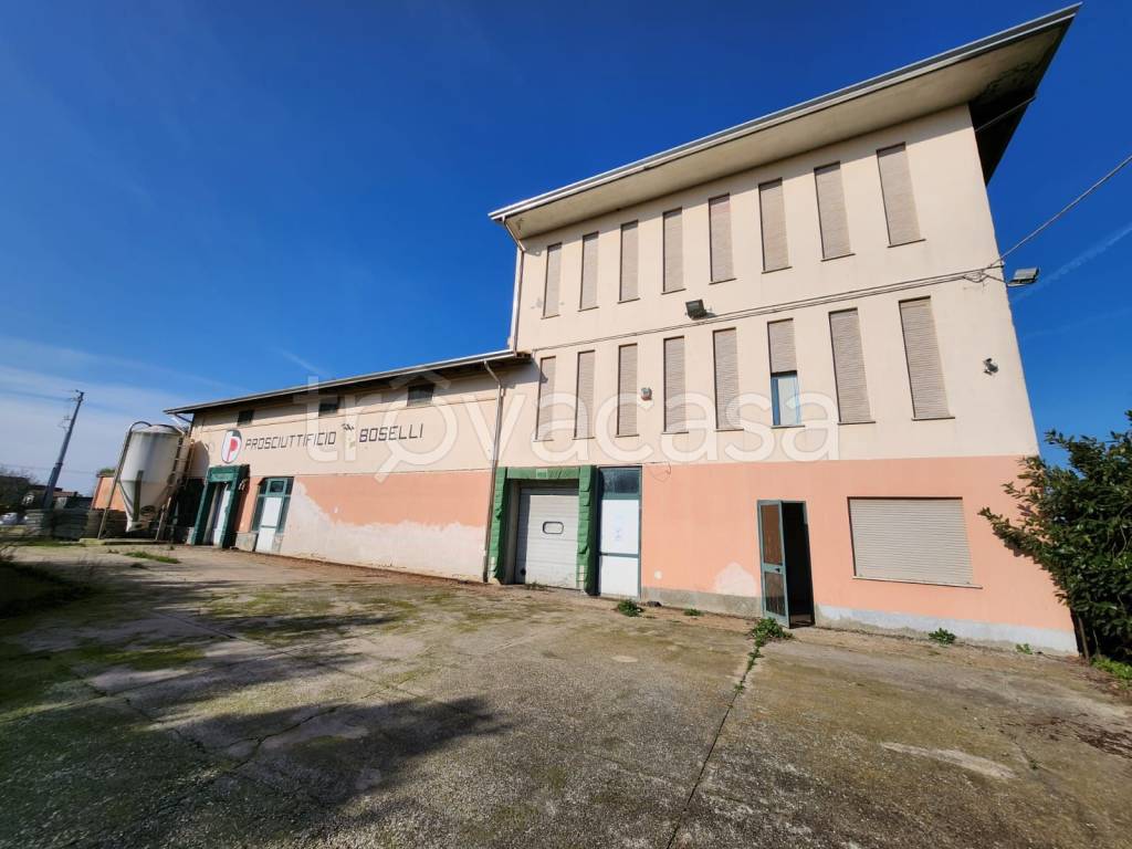 immagine annuncio 9 di 11