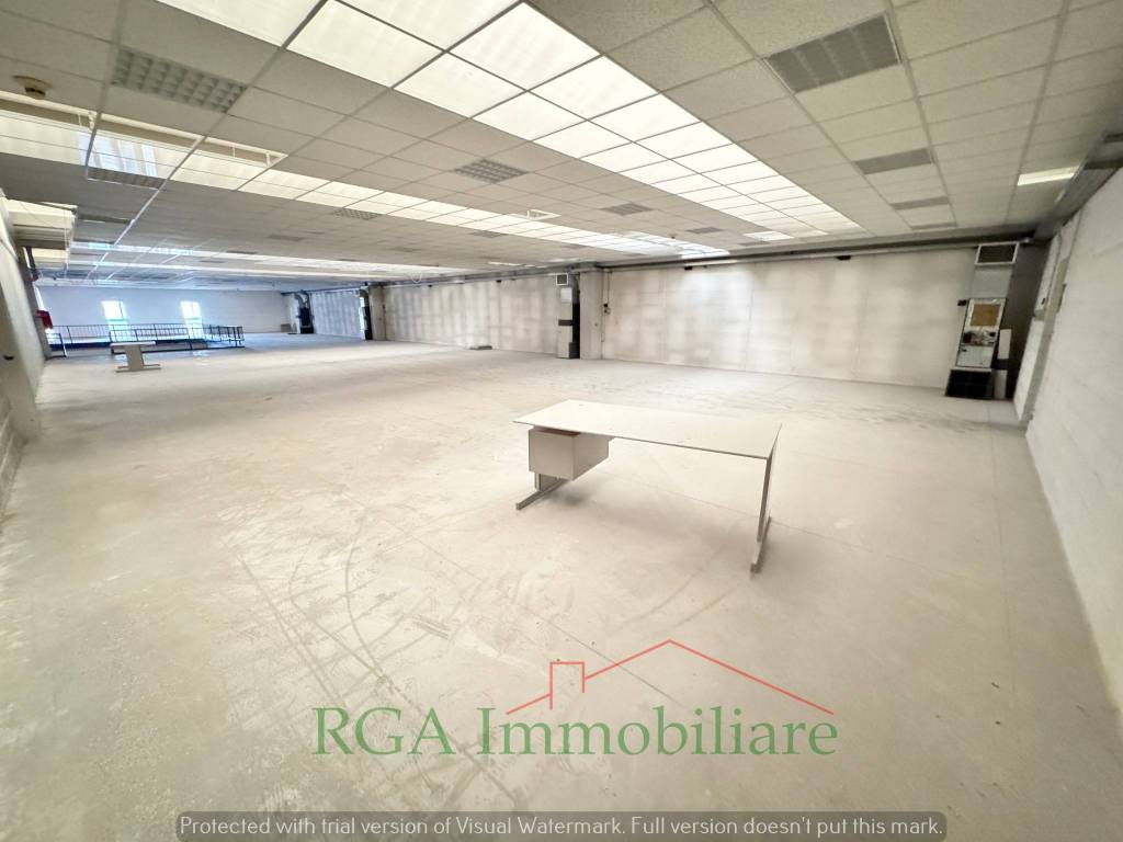 immagine annuncio 9 di 13