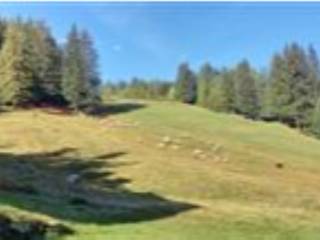 Terreno agricolo all'asta a valfurva via plagheira