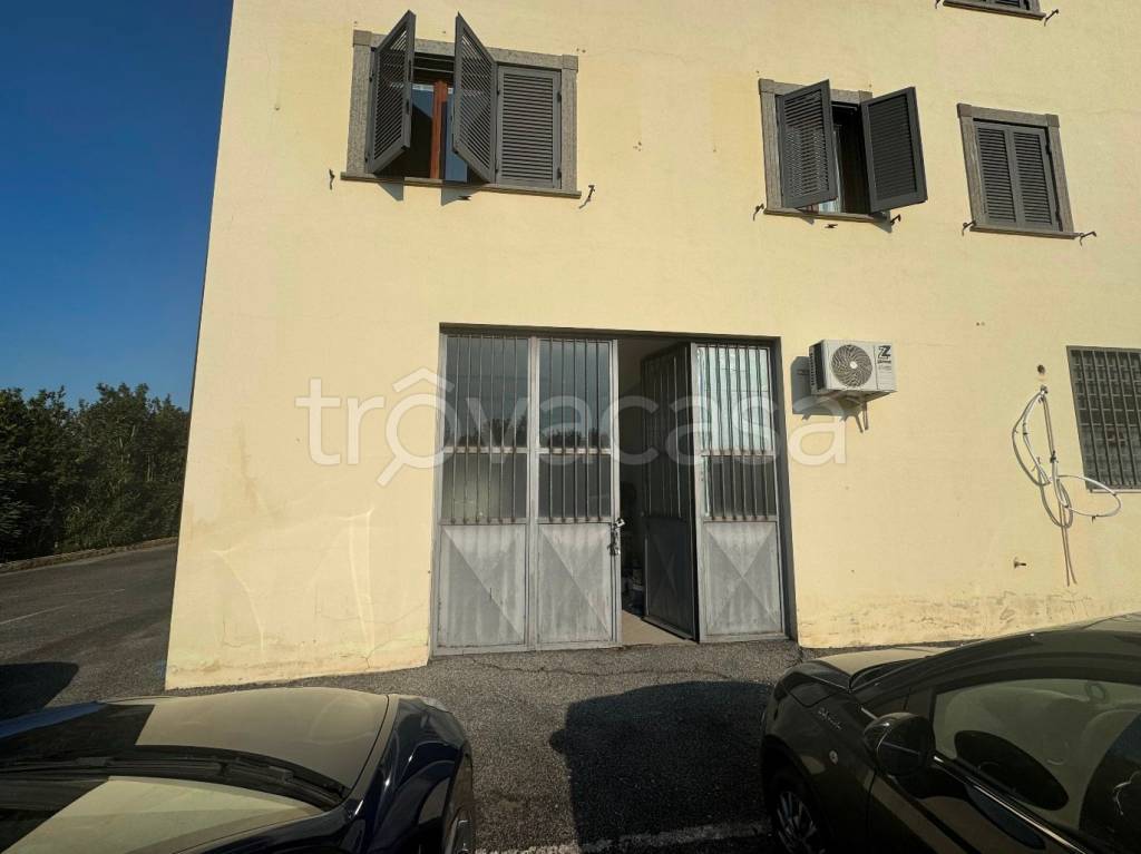 immagine annuncio 4 di 8