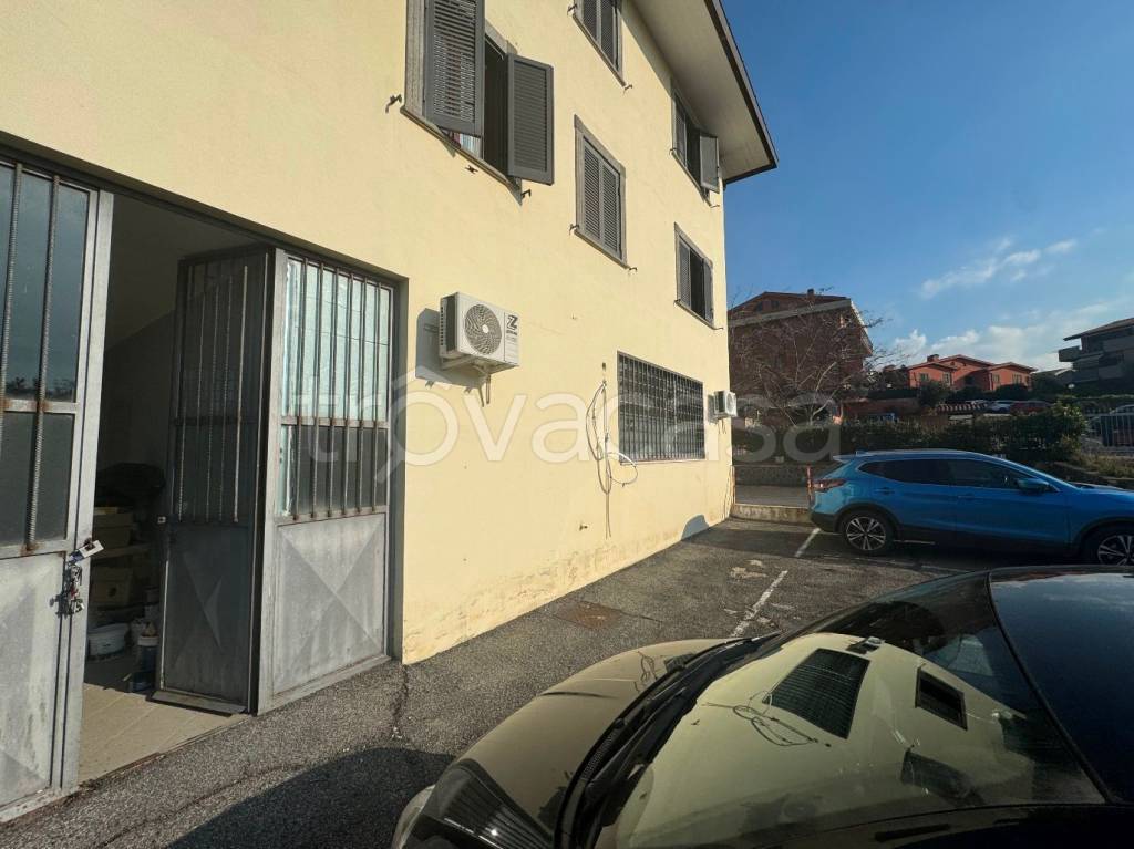 immagine annuncio 5 di 8