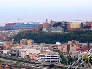 Negozio in affitto a genova 