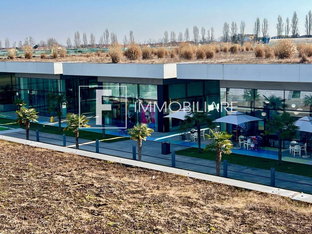 immagine annuncio 5 di 9