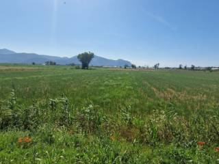 Terreno agricolo all'asta a pontinia via migliara 54 sx