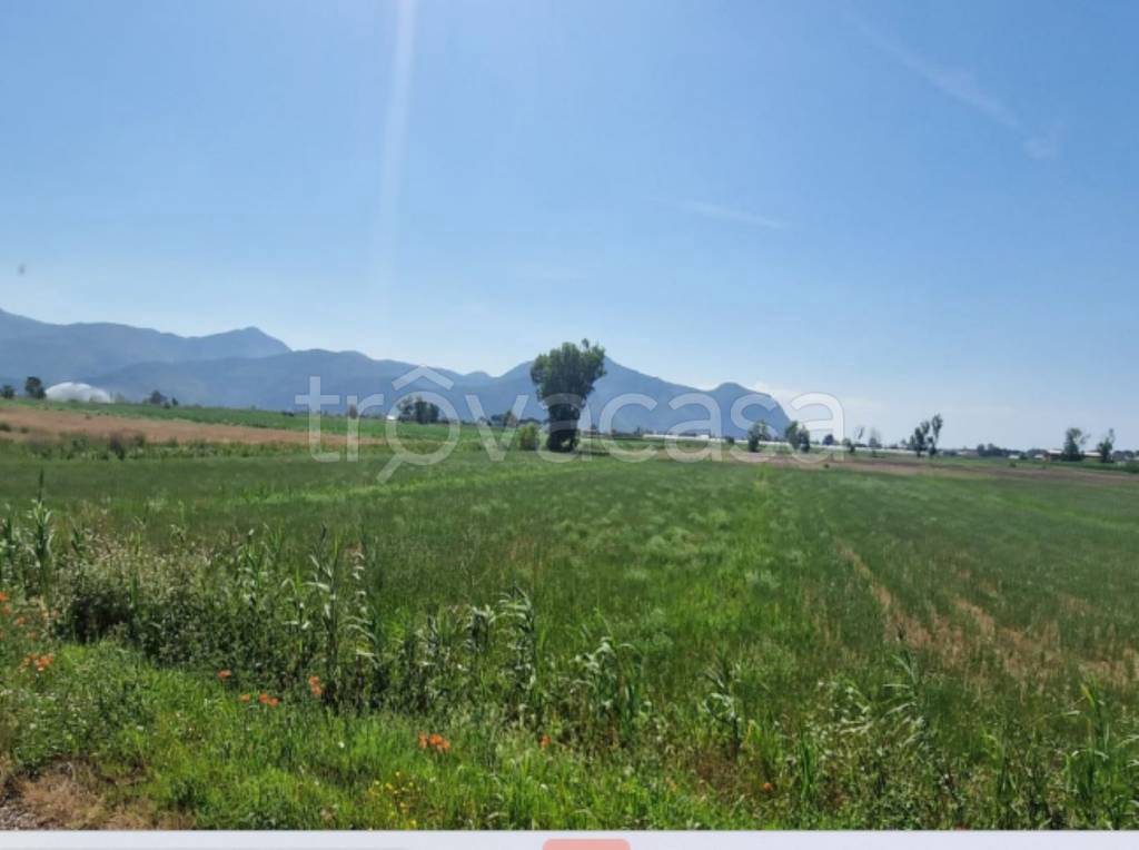 immagine annuncio 10 di 14