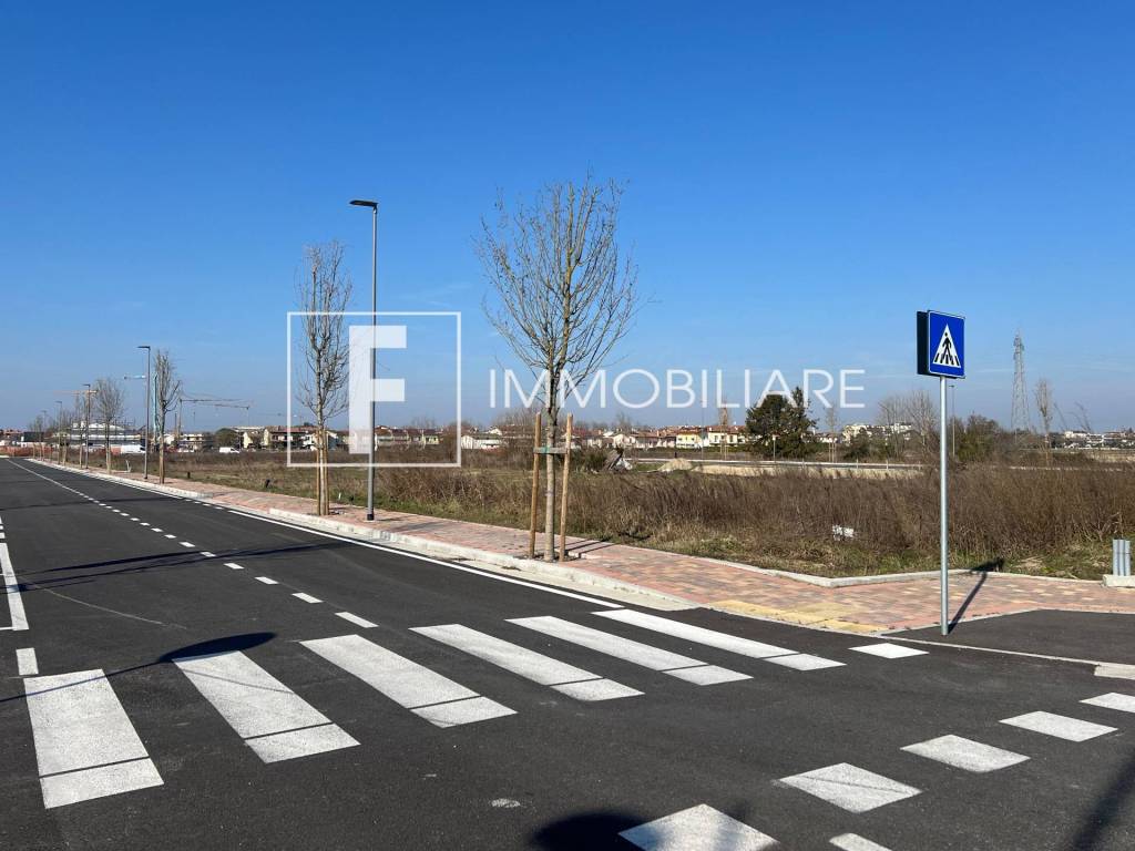 immagine annuncio 2 di 8