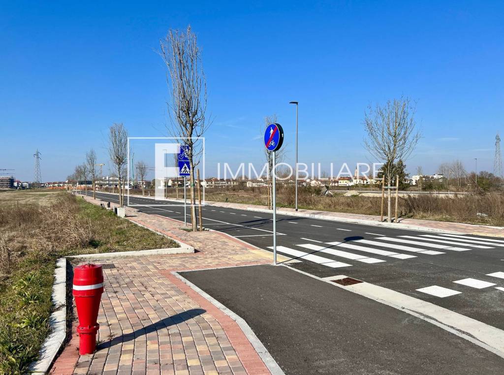 immagine annuncio 4 di 8