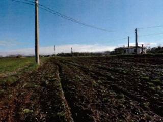 Terreno agricolo all'asta a viterbo corso italia