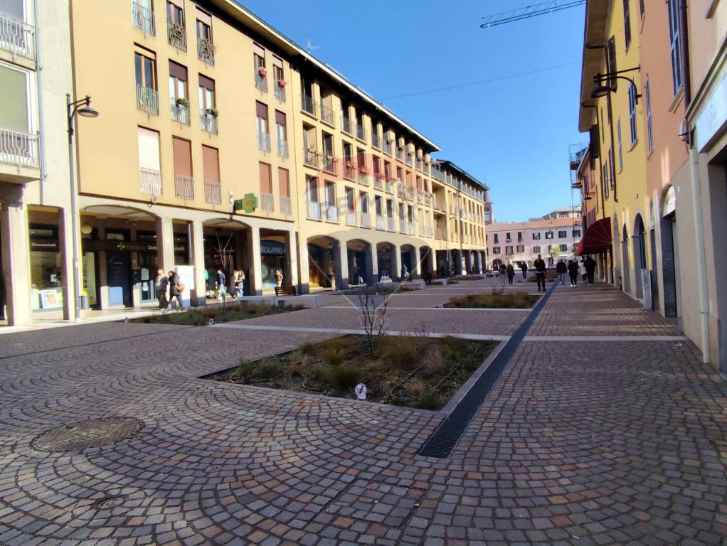 immagine annuncio 2 di 8