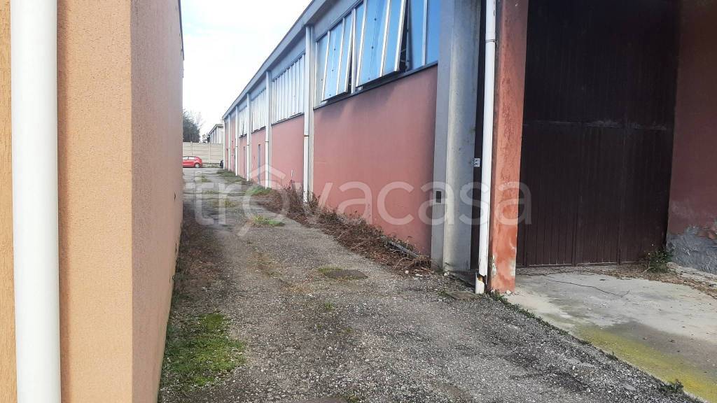 immagine annuncio 7 di 10