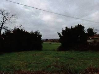 Terreno agricolo all'asta a viterbo via dell'olmo