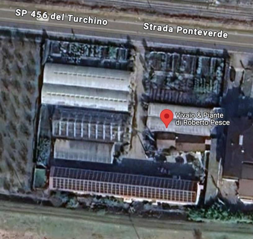 immagine annuncio 10 di 11