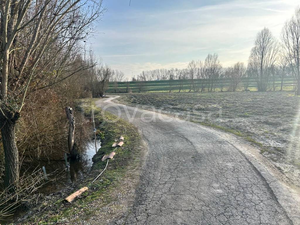 immagine annuncio 2 di 12