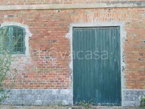 immagine annuncio 11 di 14