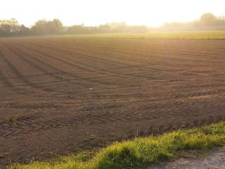 Terreno agricolo in vendita a san giorgio in bosco 