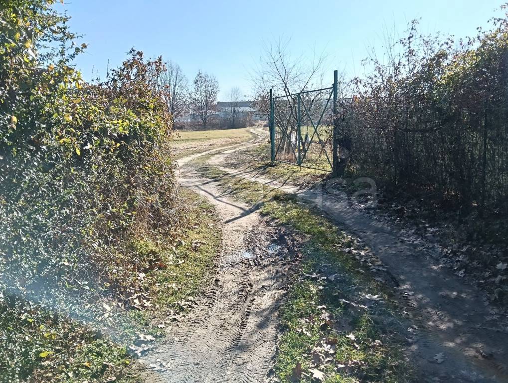 immagine annuncio 3 di 7