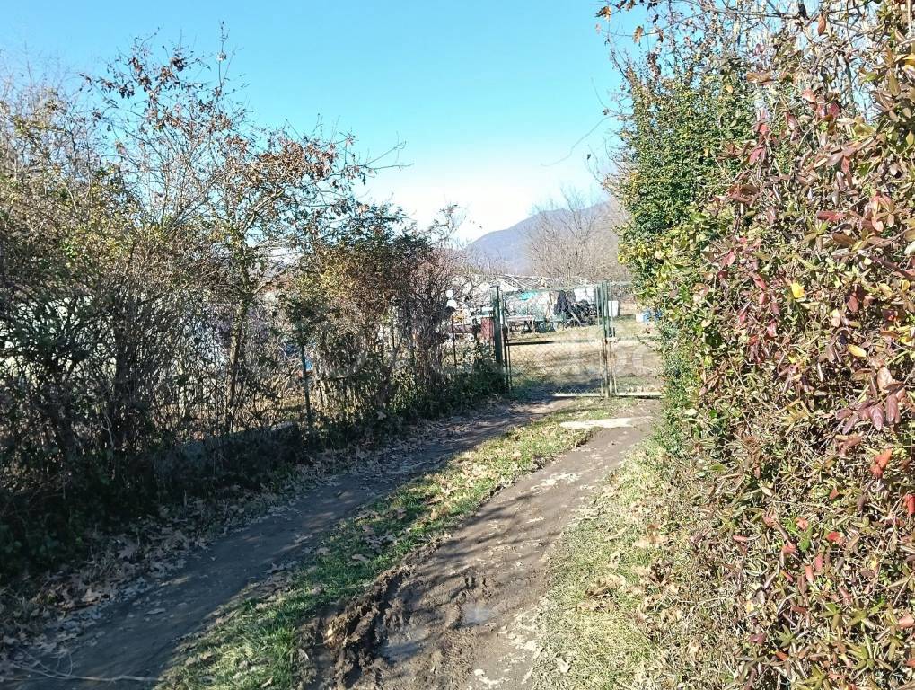 immagine annuncio 4 di 7