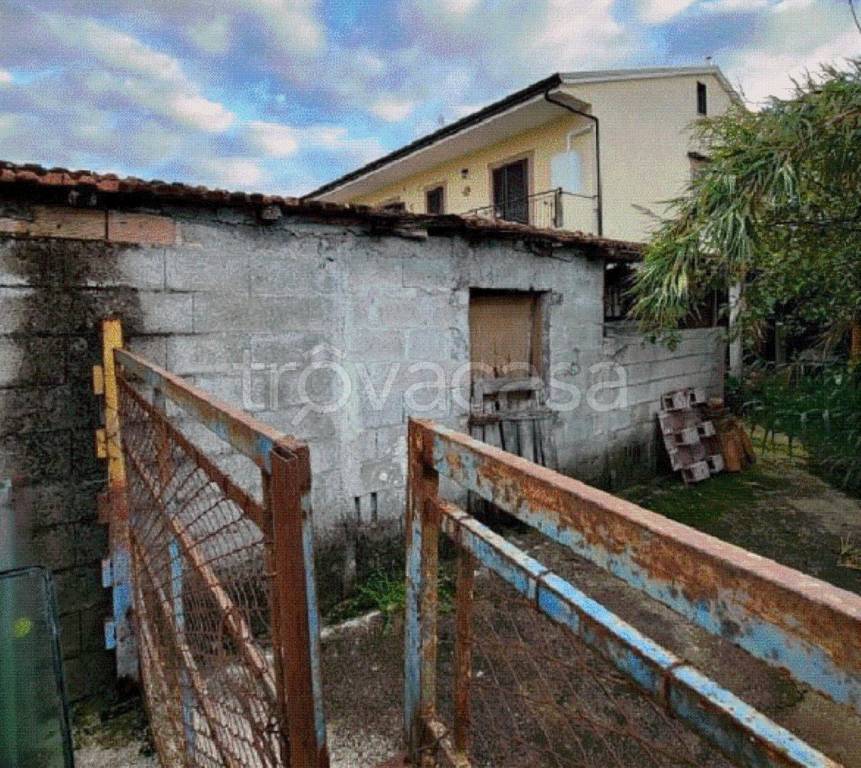 immagine annuncio 1 di 11